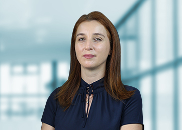 Andreia Gini, Sócio
